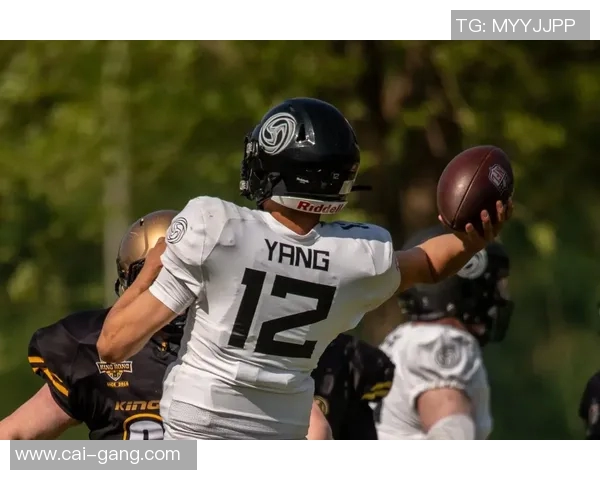 全球橄榄球体育明星排名揭晓谁将成为新一代传奇球员 全球橄榄球体育明星排名揭晓谁将成为新一代传奇球员