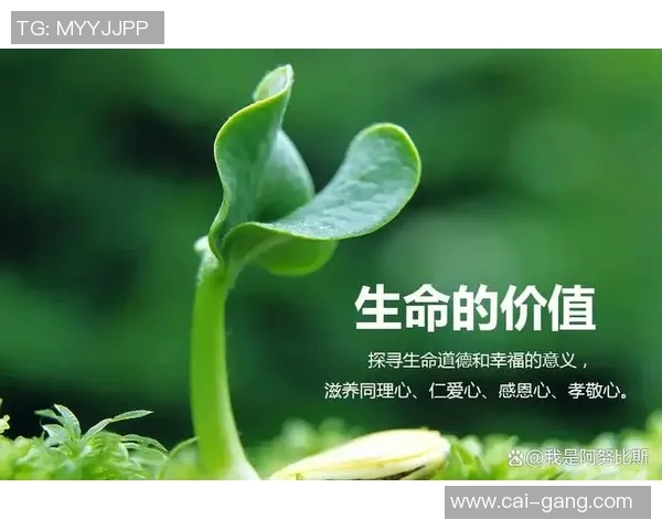 焦泊乔的成长之路与奋斗故事探寻人生的意义与价值 焦泊乔的成长之路与奋斗故事探寻人生的意义与价值