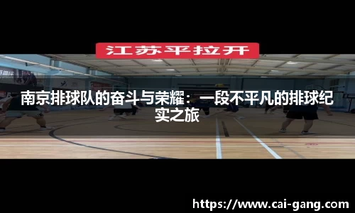 南京排球队的奋斗与荣耀：一段不平凡的排球纪实之旅